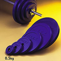 ALEX(�A���b�N�X) ���o�[�v���[�g�iRP�j�@0.5kg�@1��[�����ʓr]