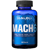 HALEO(�n���I) MACH6�i�}�b�n6�j 540��