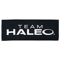 HALEO�i�n���I�j �g�b�v�`�[���^�I�� 400�~1,100mm ���u���b�N��