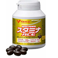 Kentai(�P���^�C) ���K�p���[ �X�^�~�i�G�[�X