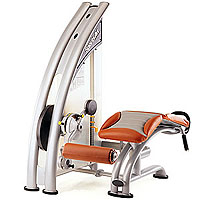 SportsArt�i�X�|�[�c�A�[�g�j ���b�O�J�[�� A958