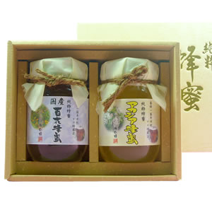 かの蜂 蜂蜜ギフト500g×2本 HA-30