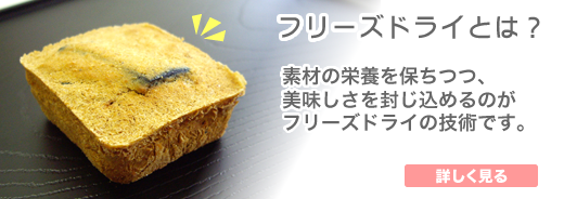 フリーズドライとは?