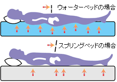 ウォーターベッド、スプリングベッド、寝姿勢の違い