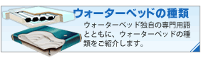 �E�H�[�^�[�x�b�h�̎��