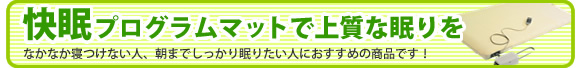 �����v���O�����}�b�g�ŏ㎿�Ȗ����