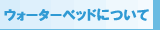 �E�H�[�^�[�x�b�h�ɂ���