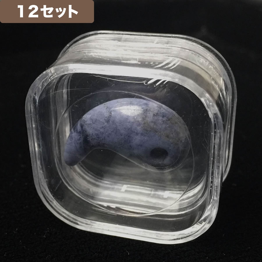 フィルムケース 12個セット <クリア> No.379 - SHOP Navi フィルムケース 12個セット <クリア> No.379 - SHOP Navi