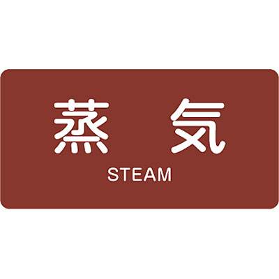 Jis配管識別明示ステッカー ヨコ 蒸気 英語表記あり 大 10枚1セット Shop Navi 安全用品館