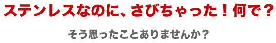 ステンレスなのに、さびちゃった!何で? そう思ったことありませんか?